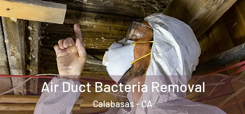  Air Duct Bacteria Removal Calabasas - CA