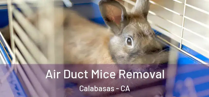 Air Duct Mice Removal Calabasas - CA