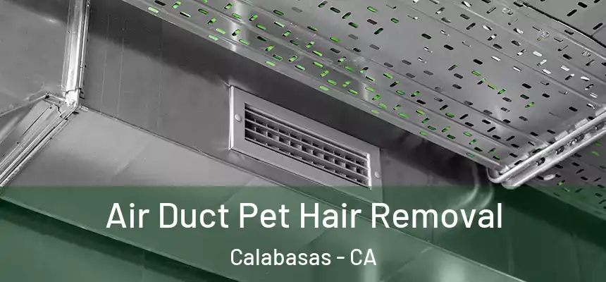 Air Duct Pet Hair Removal Calabasas - CA