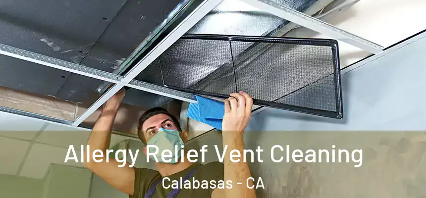 Allergy Relief Vent Cleaning Calabasas - CA