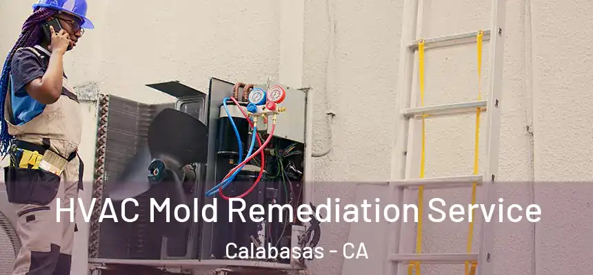  HVAC Mold Remediation Service Calabasas - CA