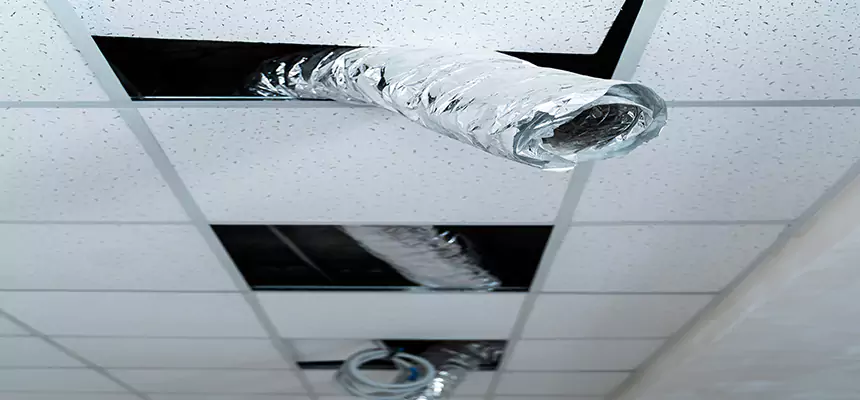 Affordable HVAC Sanitizing After Pest Removal in Calabasas