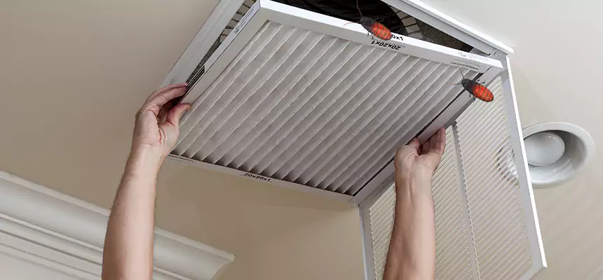 Our Insect Removal from Air Ducts Services in Calabasas, CA