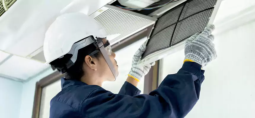 Our Mold & Mildew Removal from Air Ducts Services in Calabasas, CA