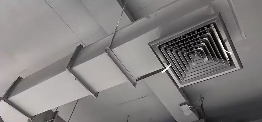 Our Pest Removal From Ducts Services in Calabasas, CA