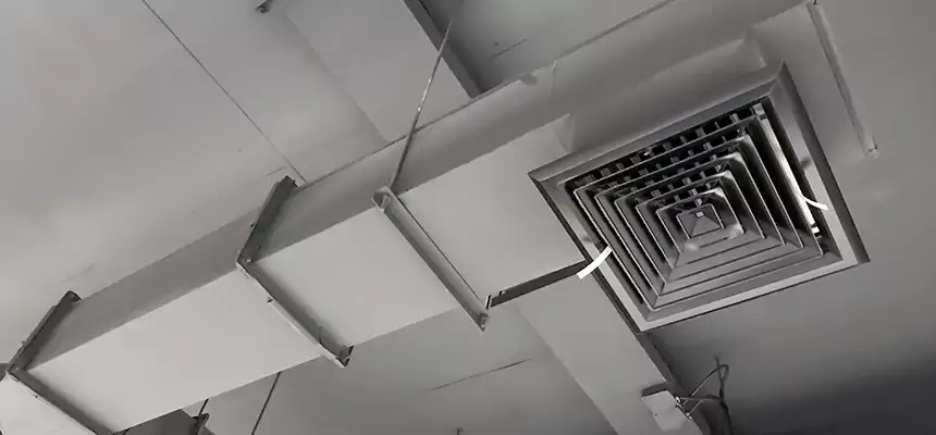 Our Rodent Droppings In Vents Services in Calabasas, CA