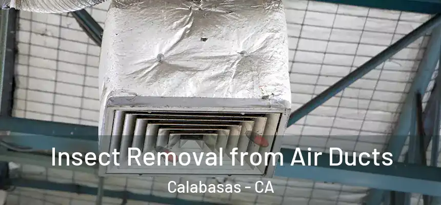  Insect Removal from Air Ducts Calabasas - CA