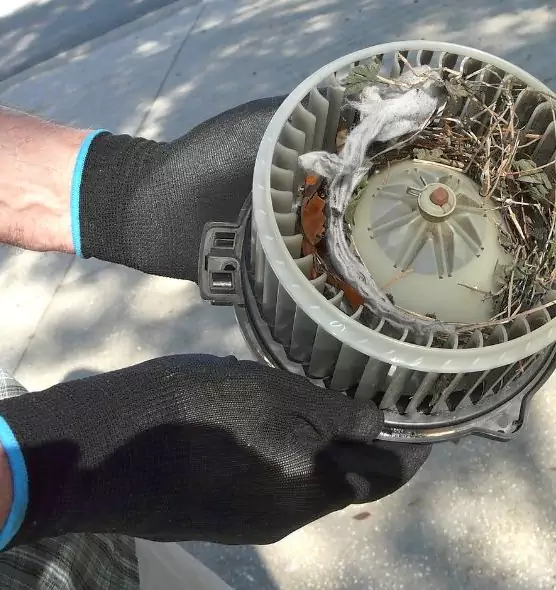 About Air Duct Mice Removal in Calabasas, CA