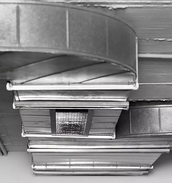 Professional Air Duct Pest Removal in Calabasas, CA