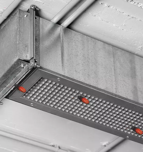 Affordable Insect Removal from Air Ducts in Calabasas, CA