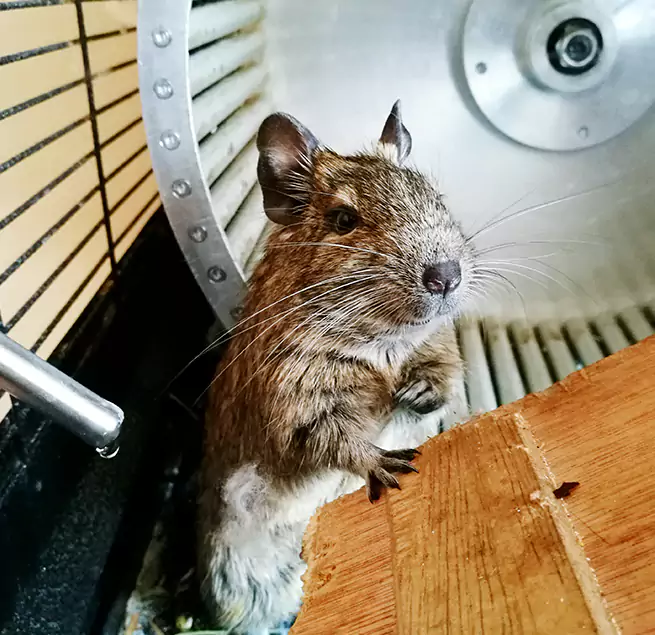 Why Homeowners & Businesses Trust Us Calabasas, CA?