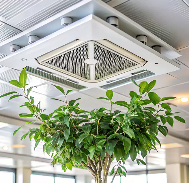 Why Homeowners & Businesses Trust Us in Calabasas, CA?