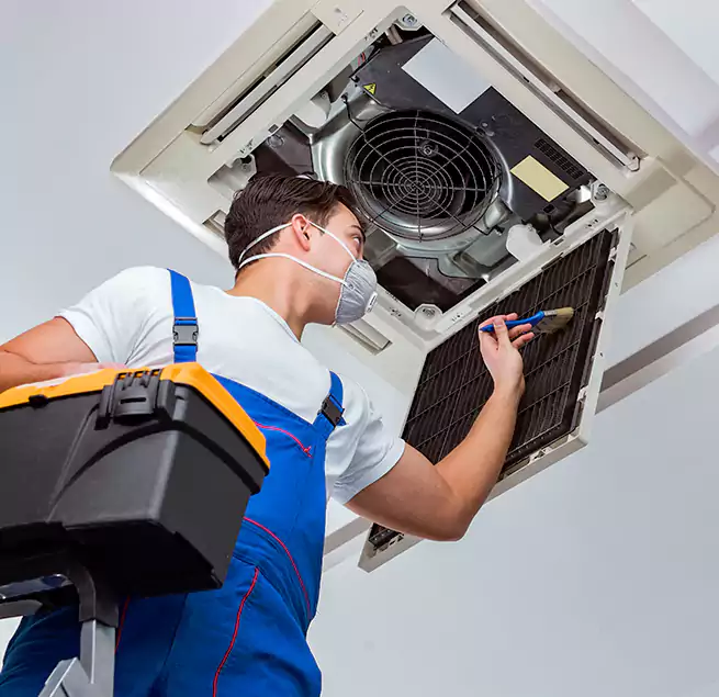 Why Homeowners & Businesses Trust Us in Calabasas, CA?